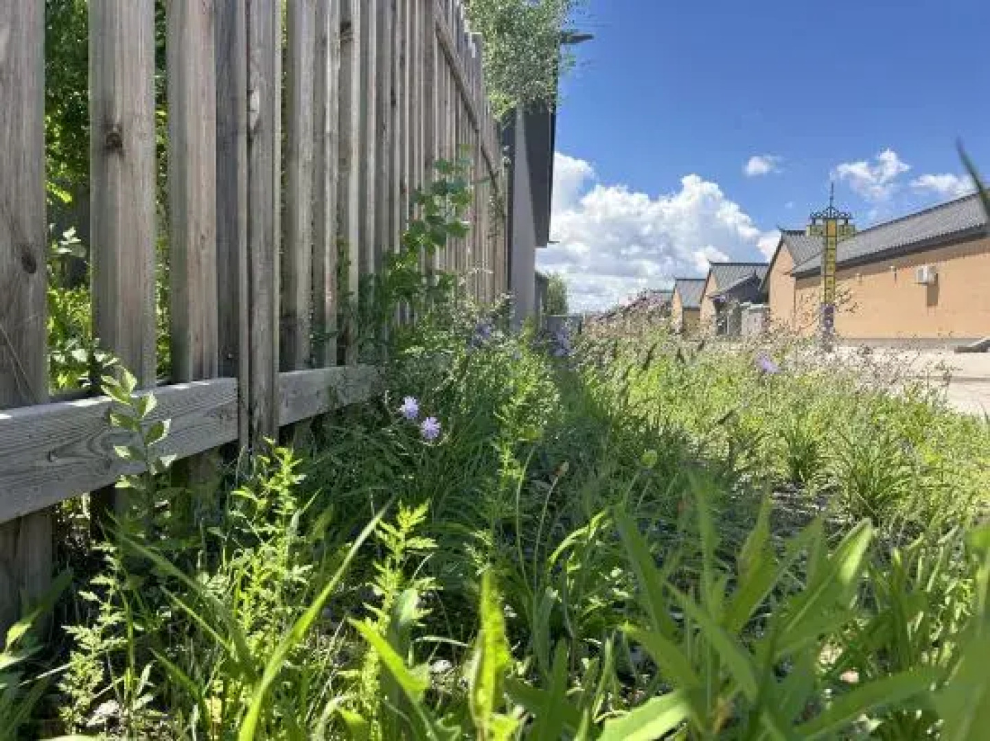 Tianxi Courtyard Hotel
