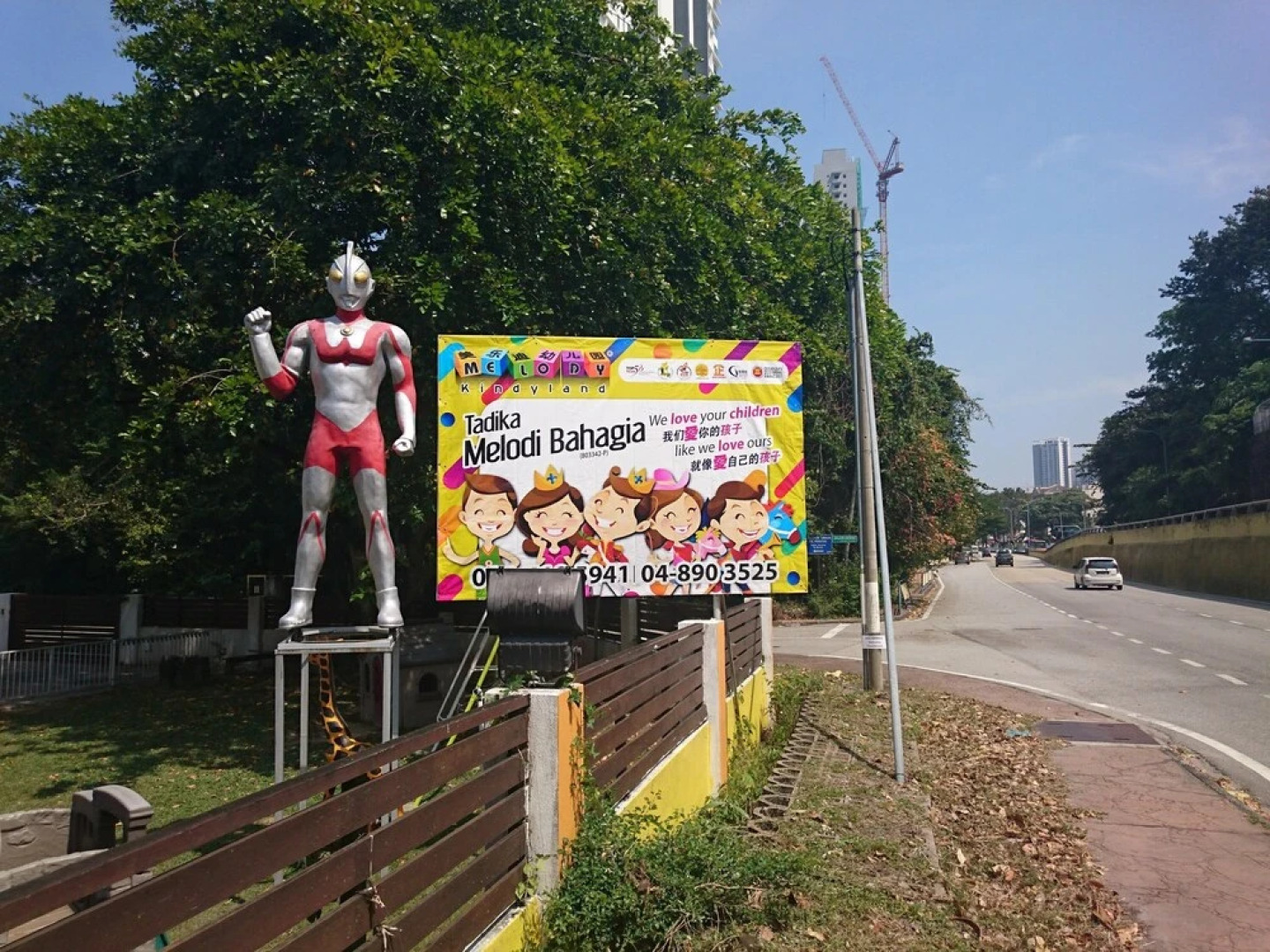 Sea Lion by the Beach