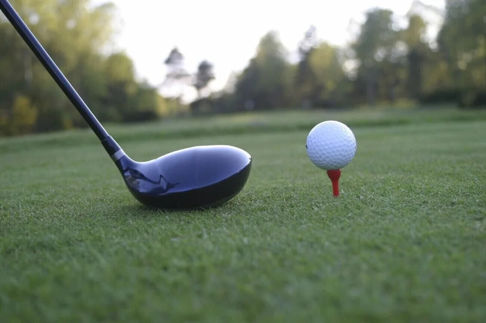 The Highlander at Radford, Tapestry Collection by Hilton