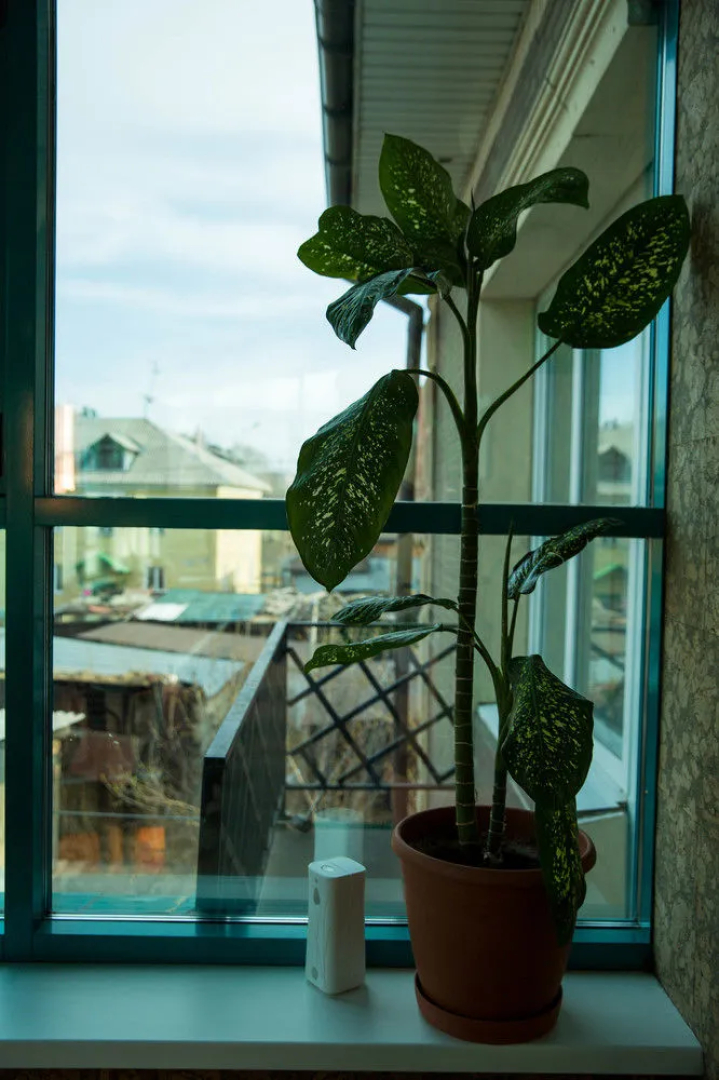 City Hotel