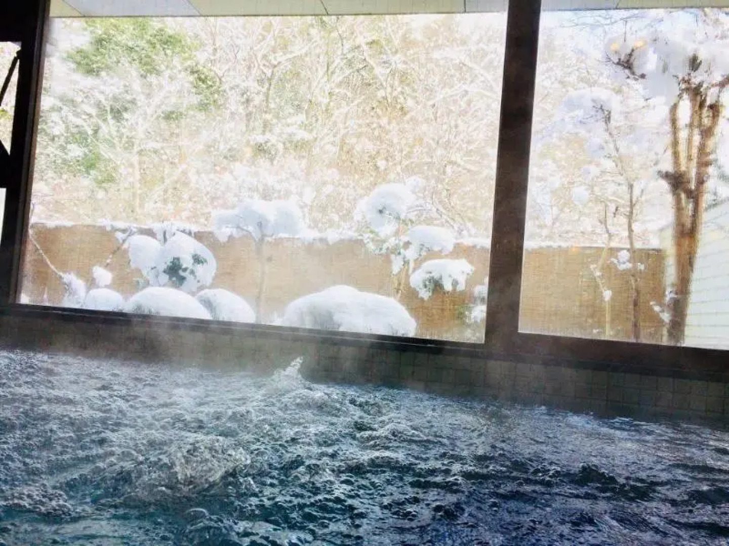 Dochu Land Shin Onsen