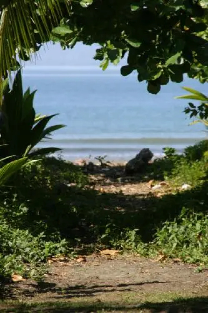 Hakuna Matata Hostel