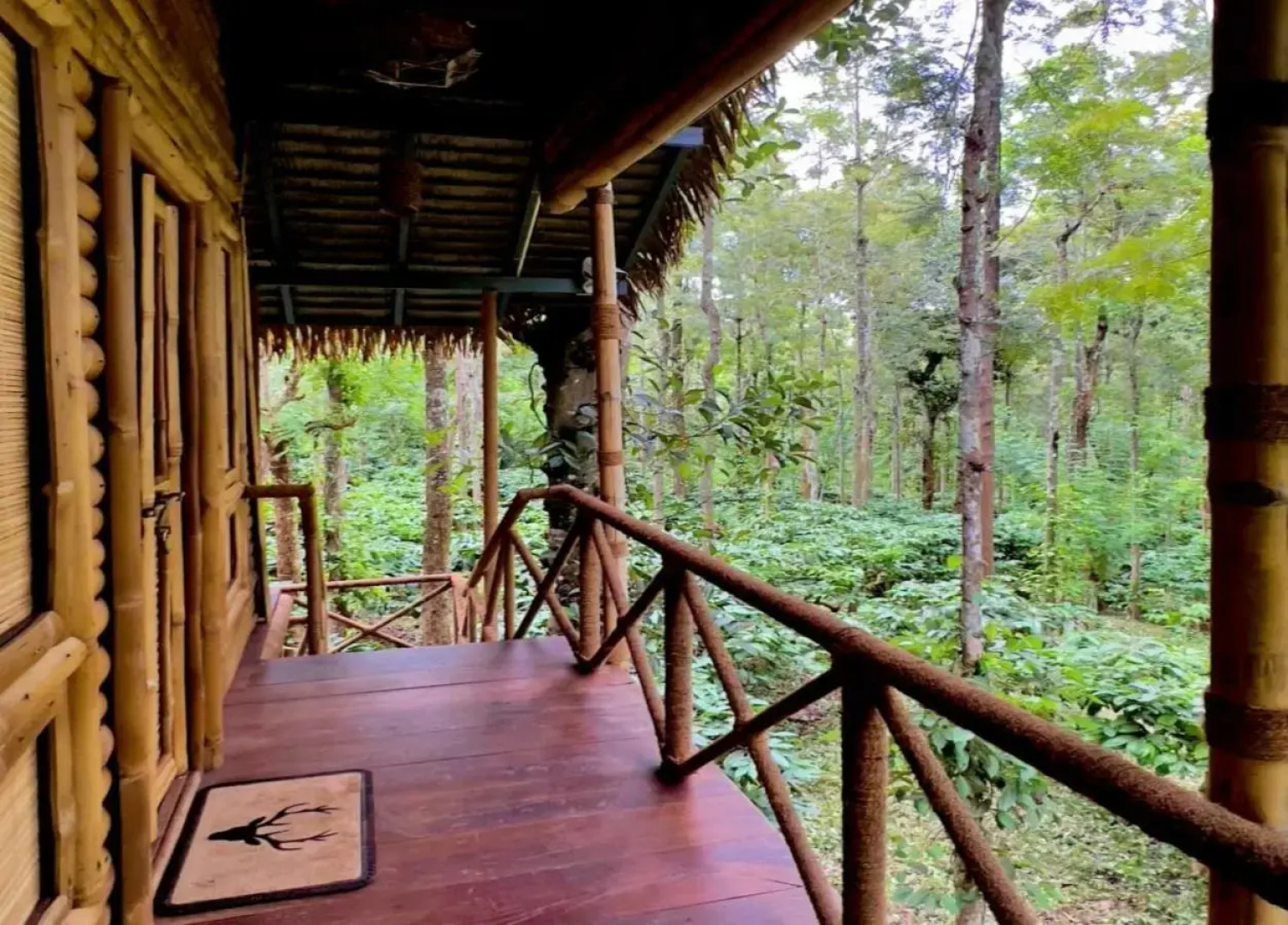 Adrak Mountain Mist Forest Resort