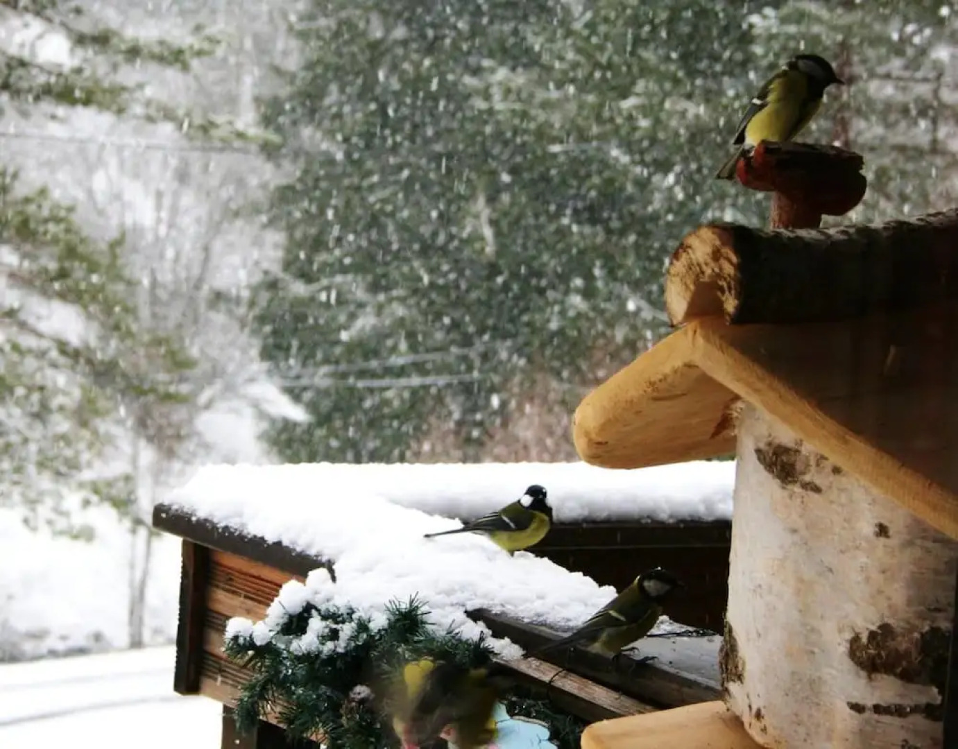 Chalet With 3 Bedrooms in Ban-sur-meurthe-clefcy, With Wonderful Mount