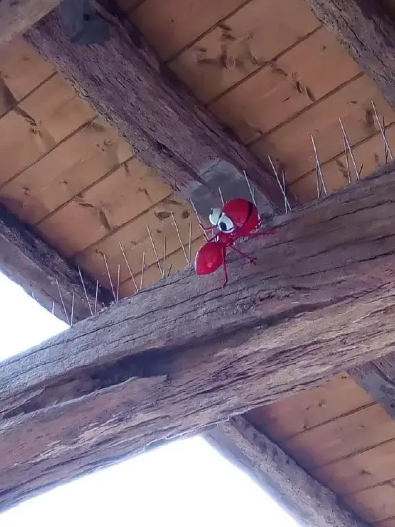 Cabaña Pasiega Única