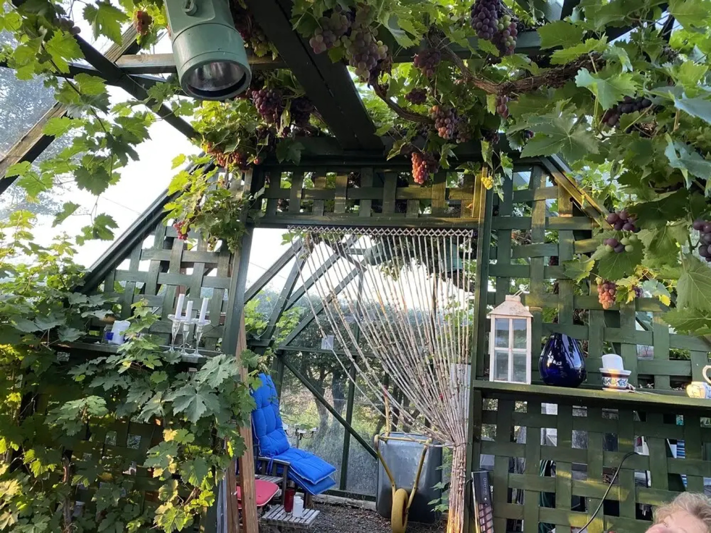 Hyggeligt ved Ejerslev Havn