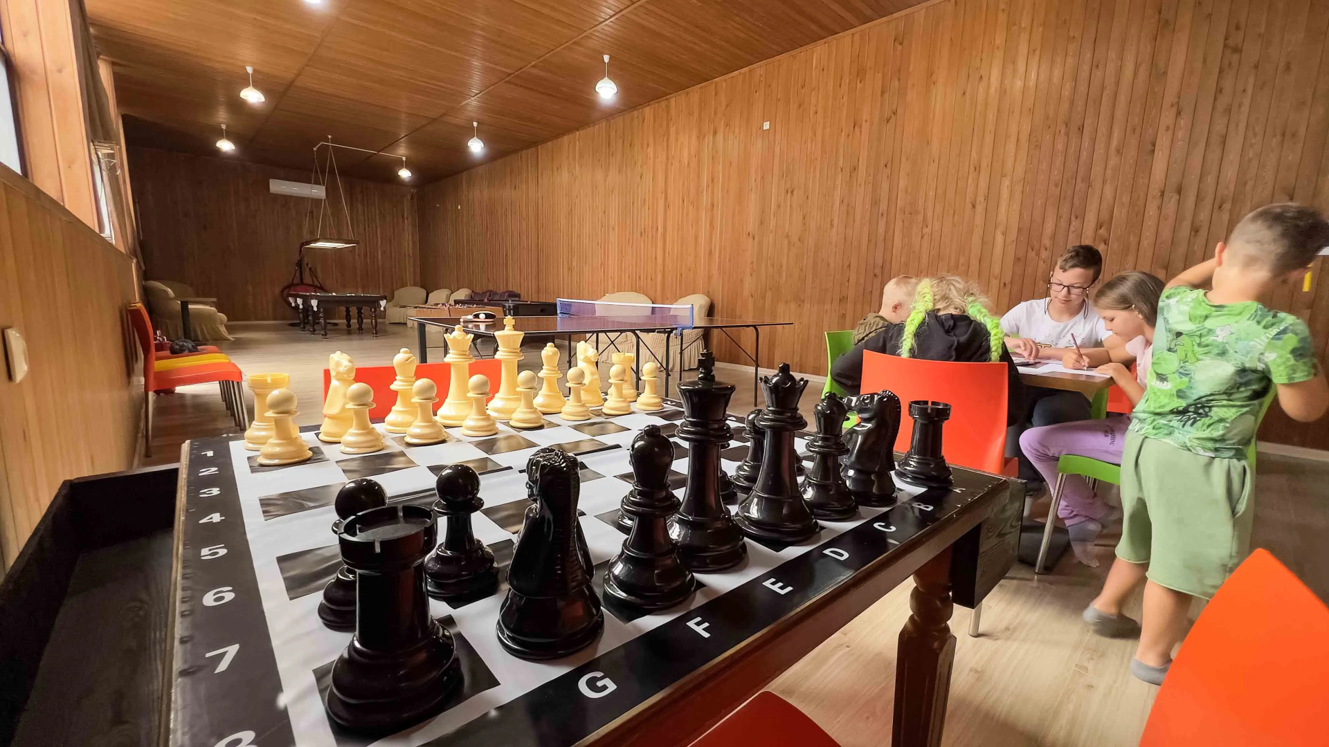 Электра Холидей