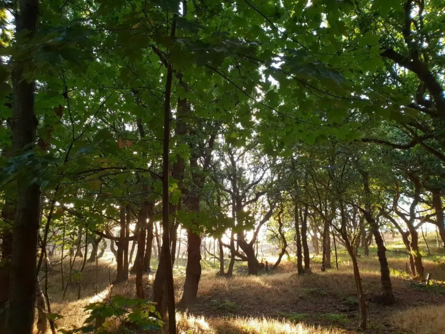 Studio aan Zee Oostkapelle