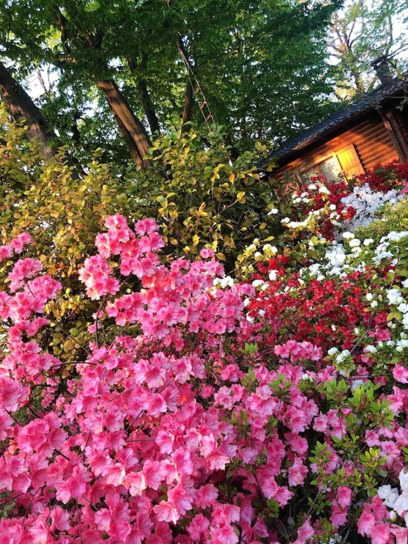 Chalet With 2 Bedrooms in Castell'arquato, With Private Pool, Furnished Garden and Wifi