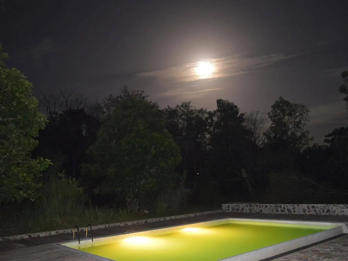 Wild Trails Udawalawe