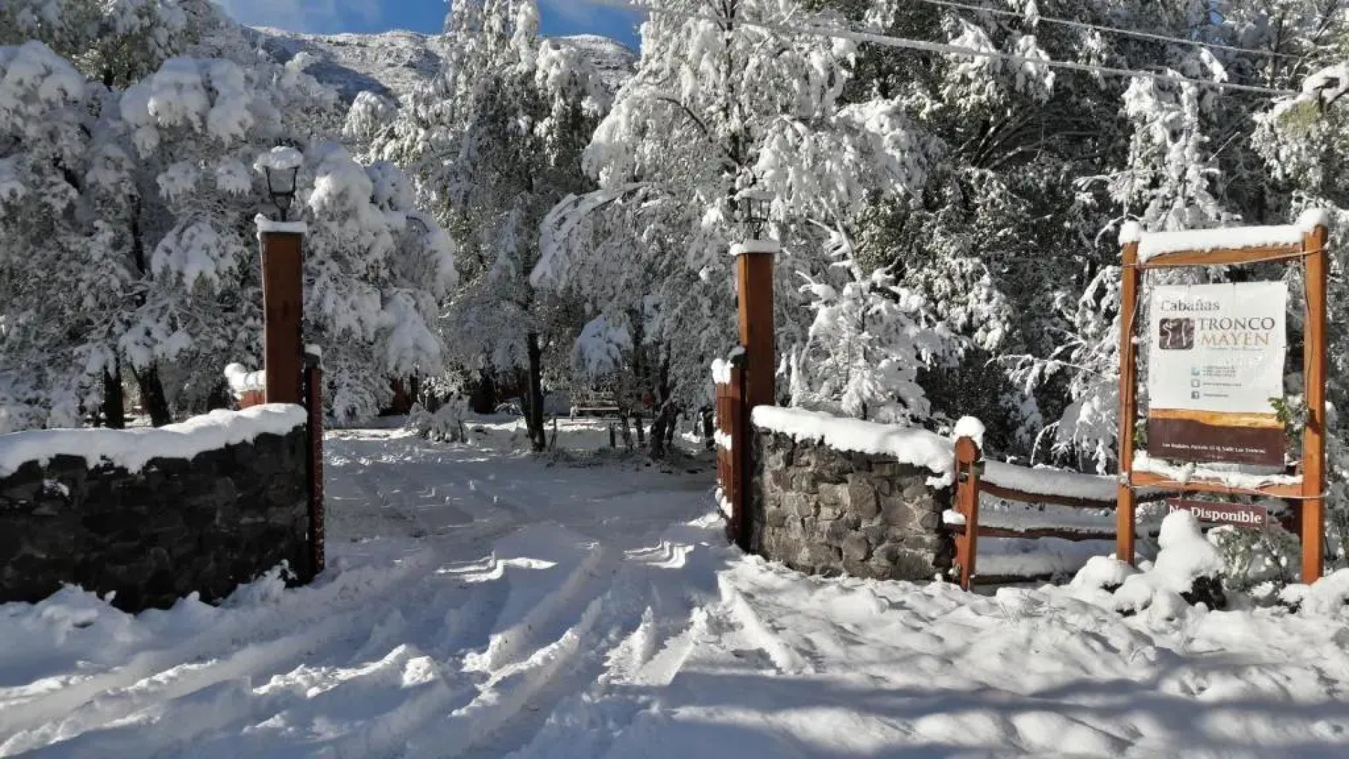 Cabañas Tronco Mayen