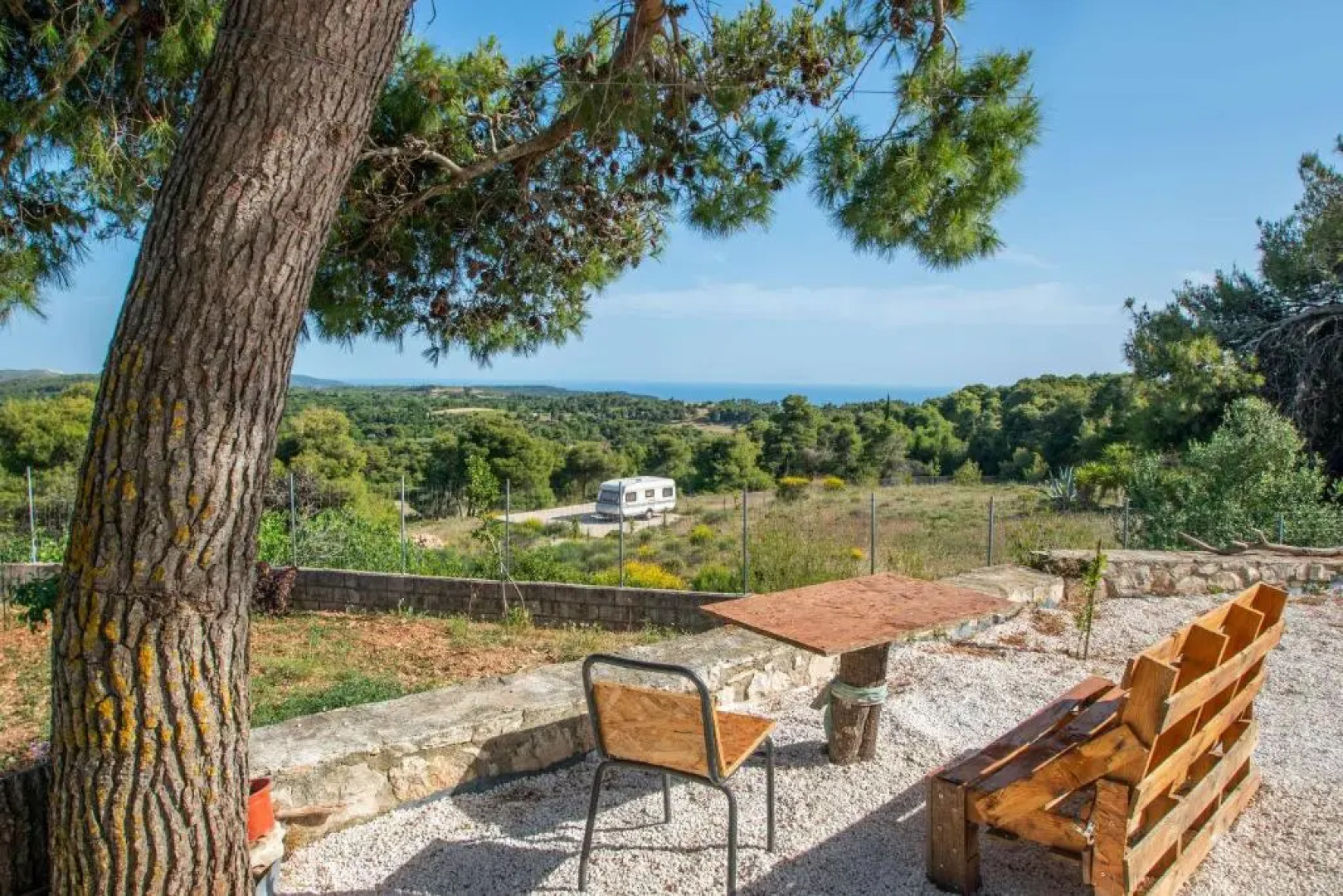 Pine tree Apartment & sunset