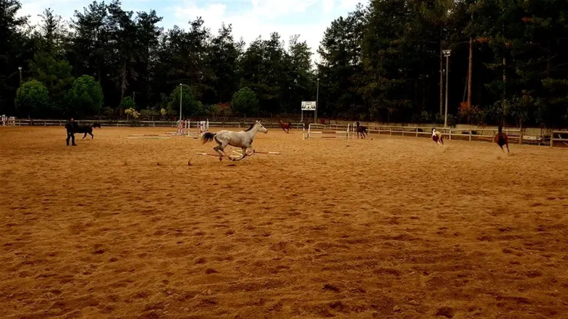 Orfe Atli Spor Kulübü