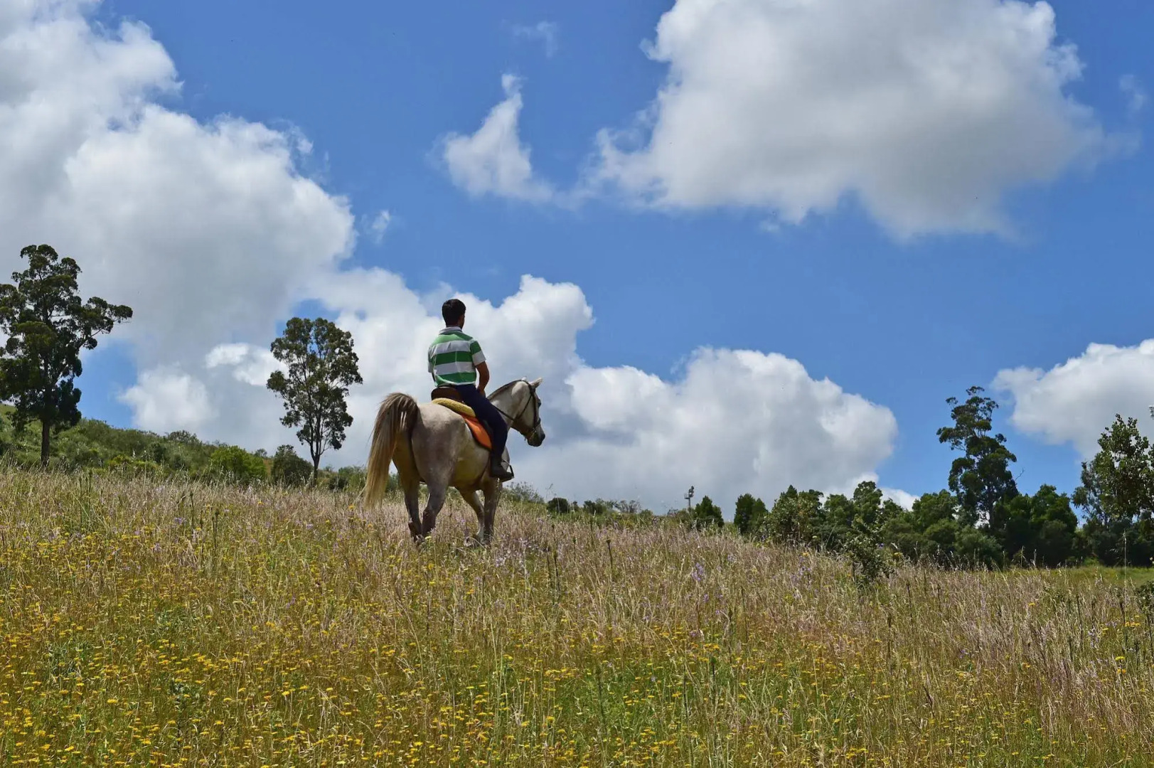 Pousada Convento de Arraiolos - Historic Hotel