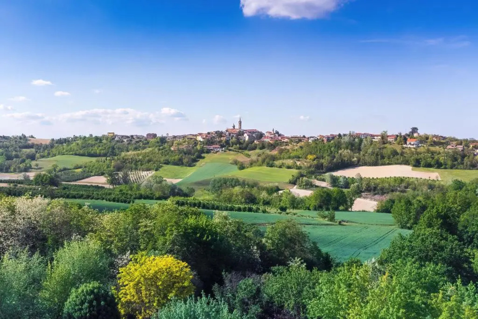 Uvaspina 8 Emma Villas