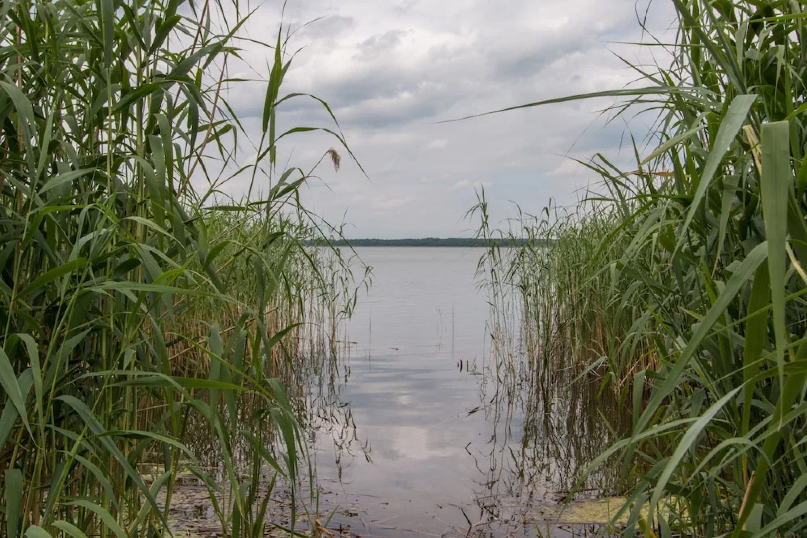 Natura-Familienpark Grimnitzsee Recreation Park