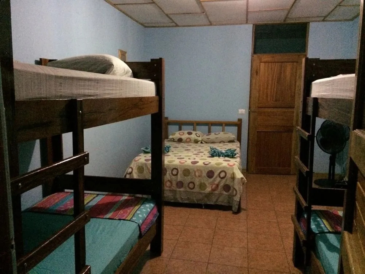 Hakuna Matata Drake Bay Hostel