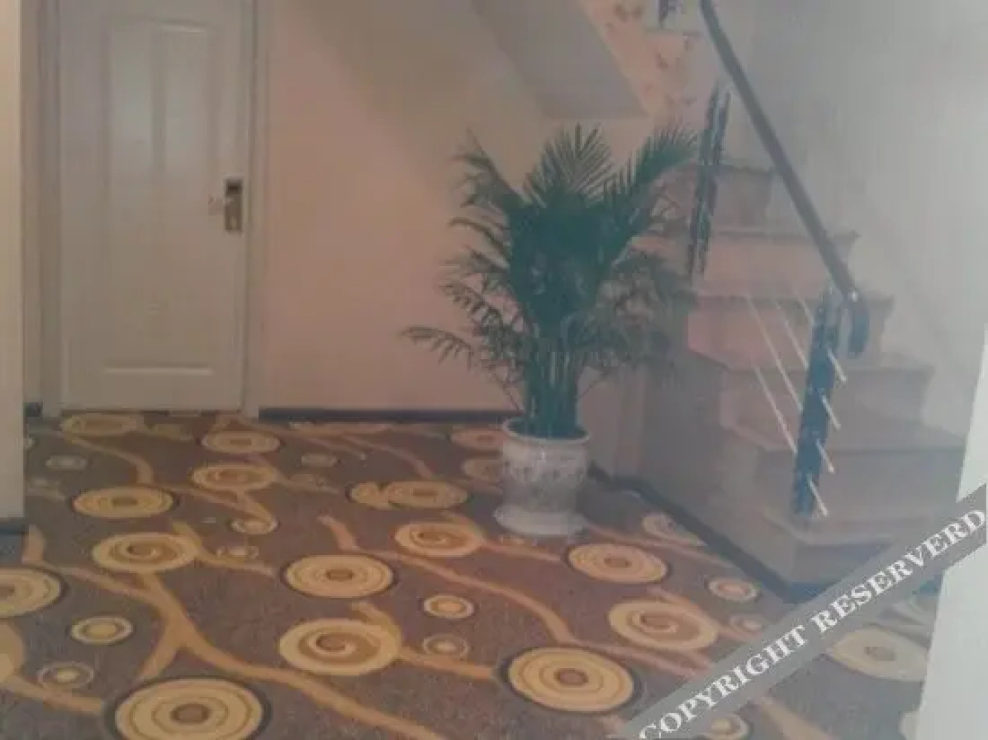 Pengteng Express Hotel