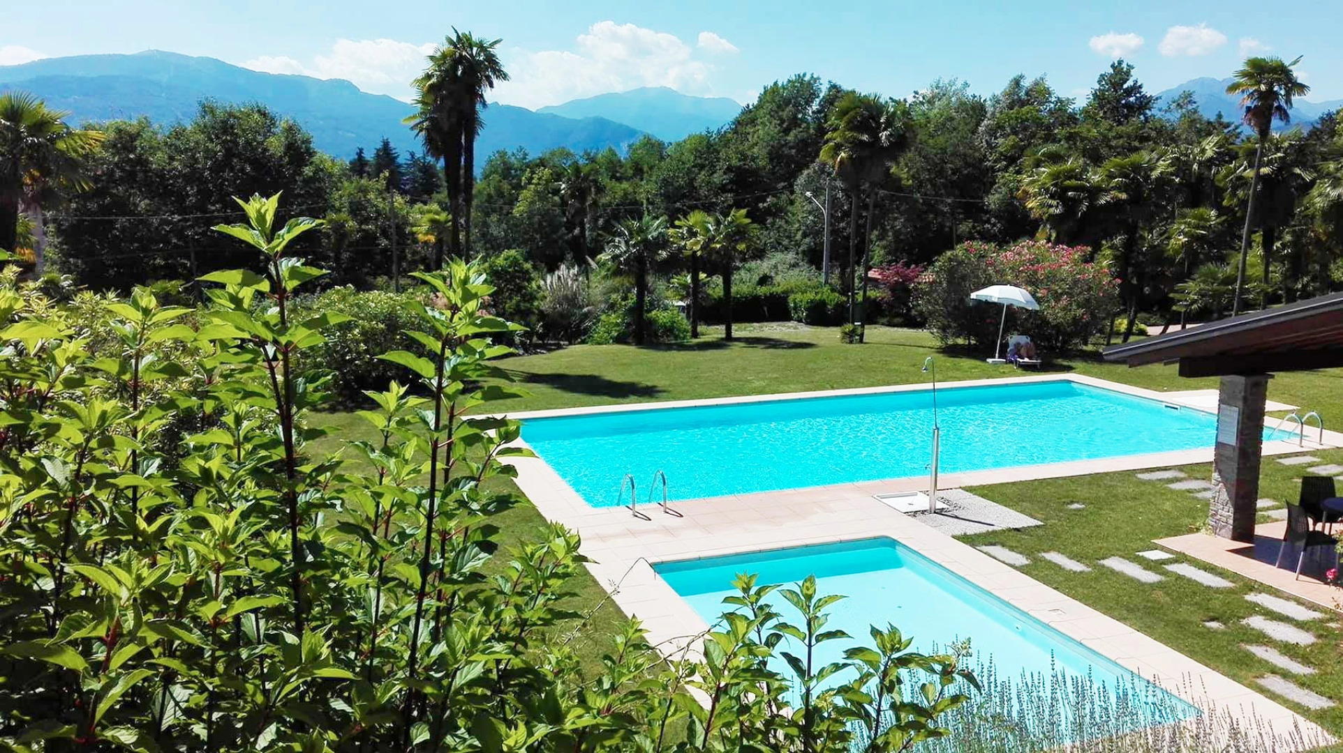 Amazing Gaia Le Palme