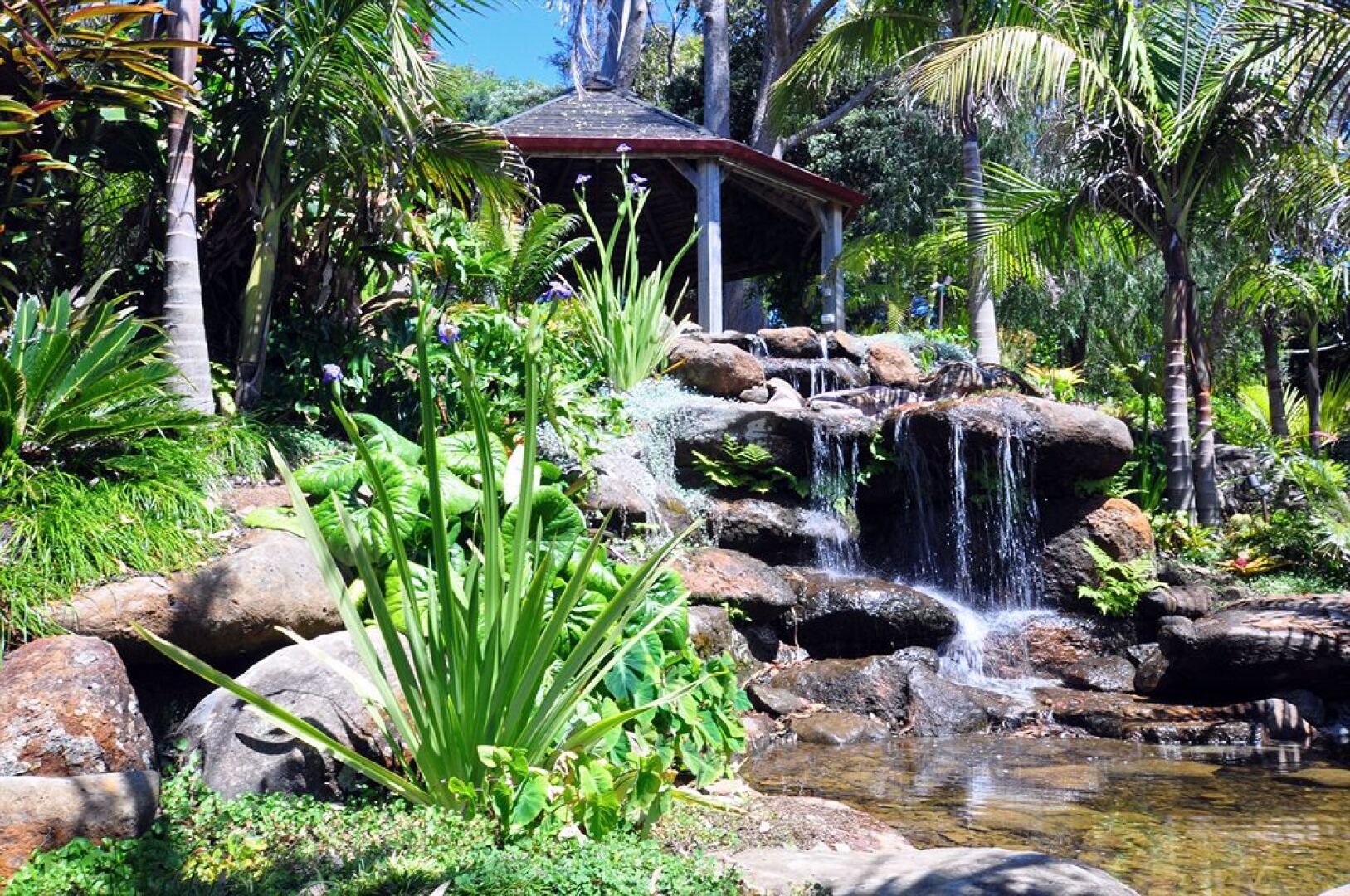 Sanctuary in the Cove