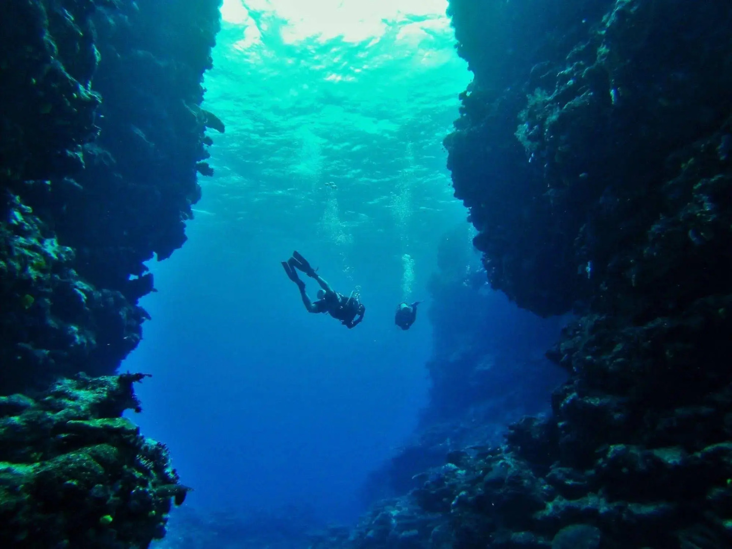Mai Dive Astrolabe Reef Resort