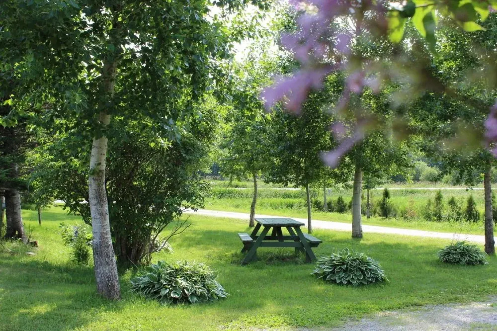 Gîte du Centre Mieux-Être