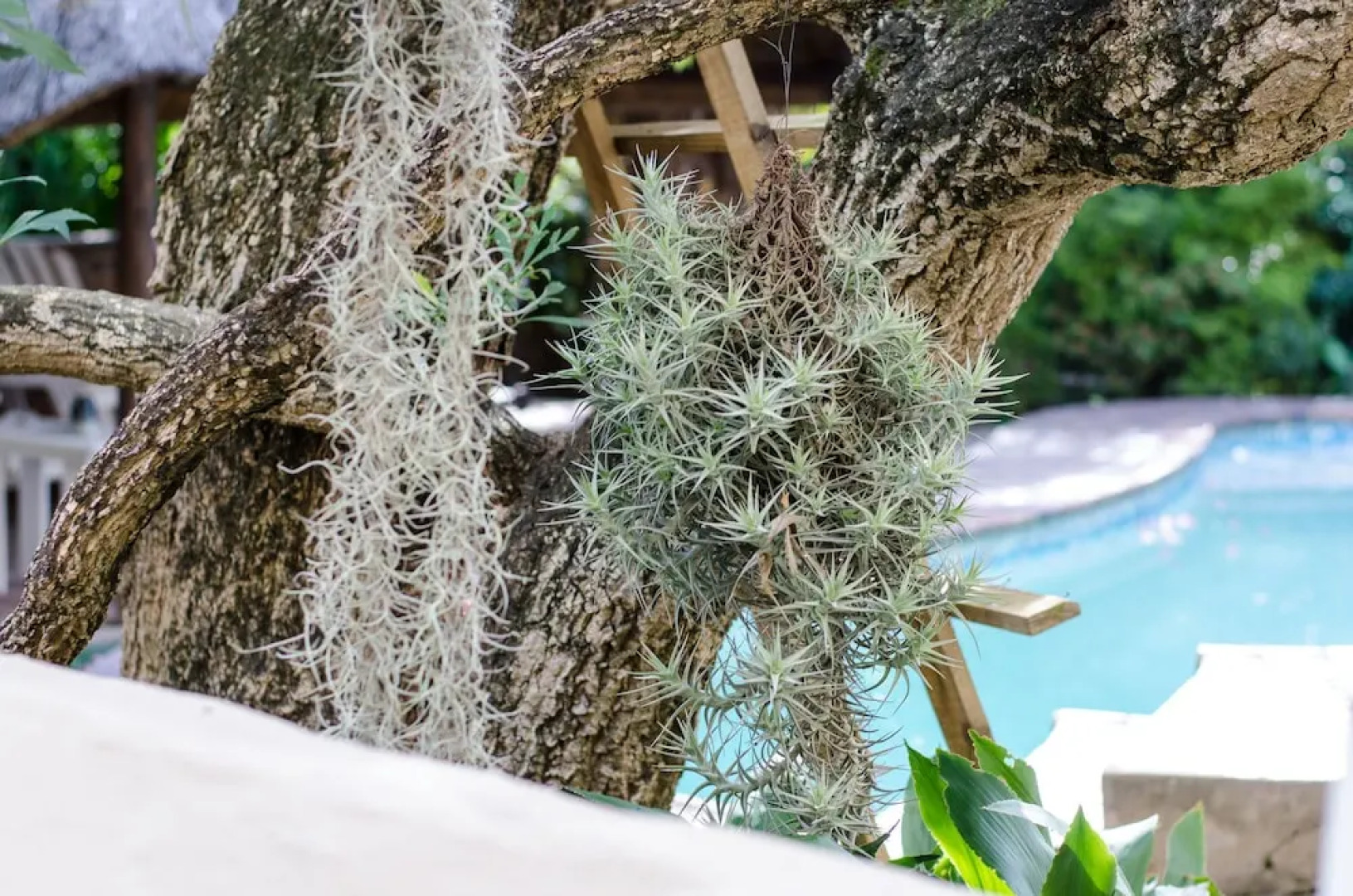 Panorama Guest House