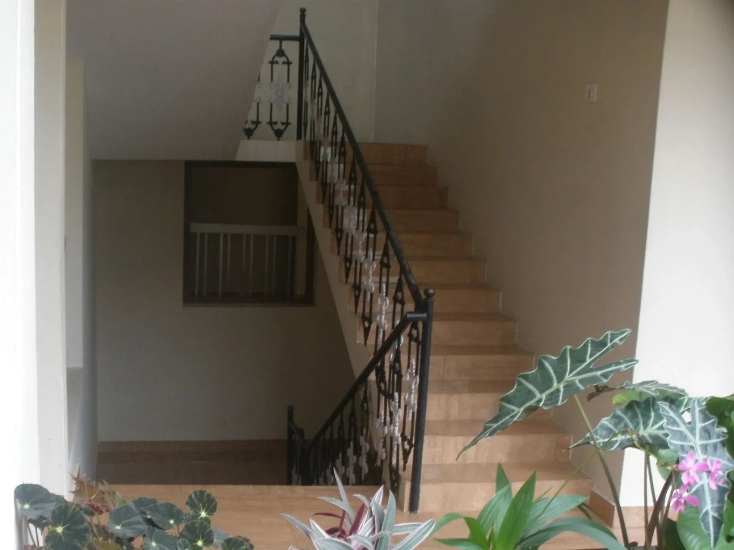 Jungle Palace Homestay