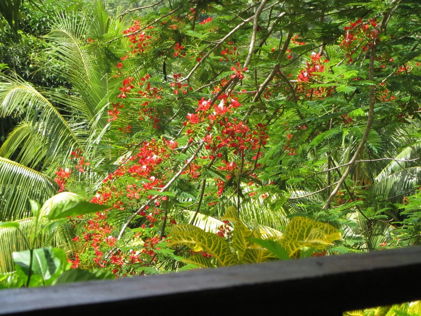 Hibiscus Valley Inn