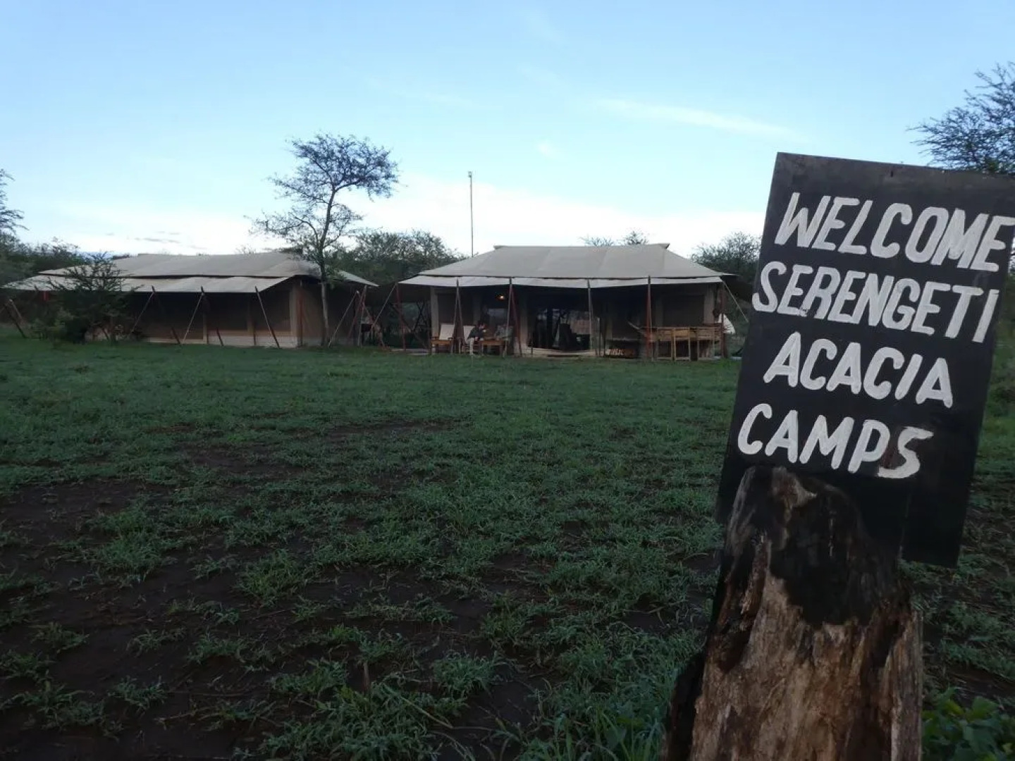 Serengeti Acacia Central Camp