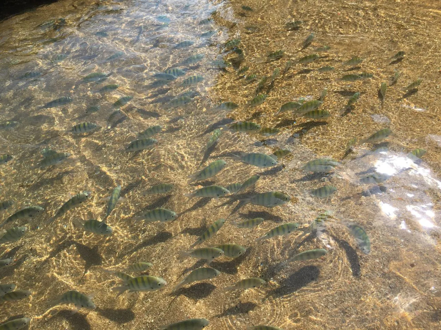 Pousada Irmaos do Mar