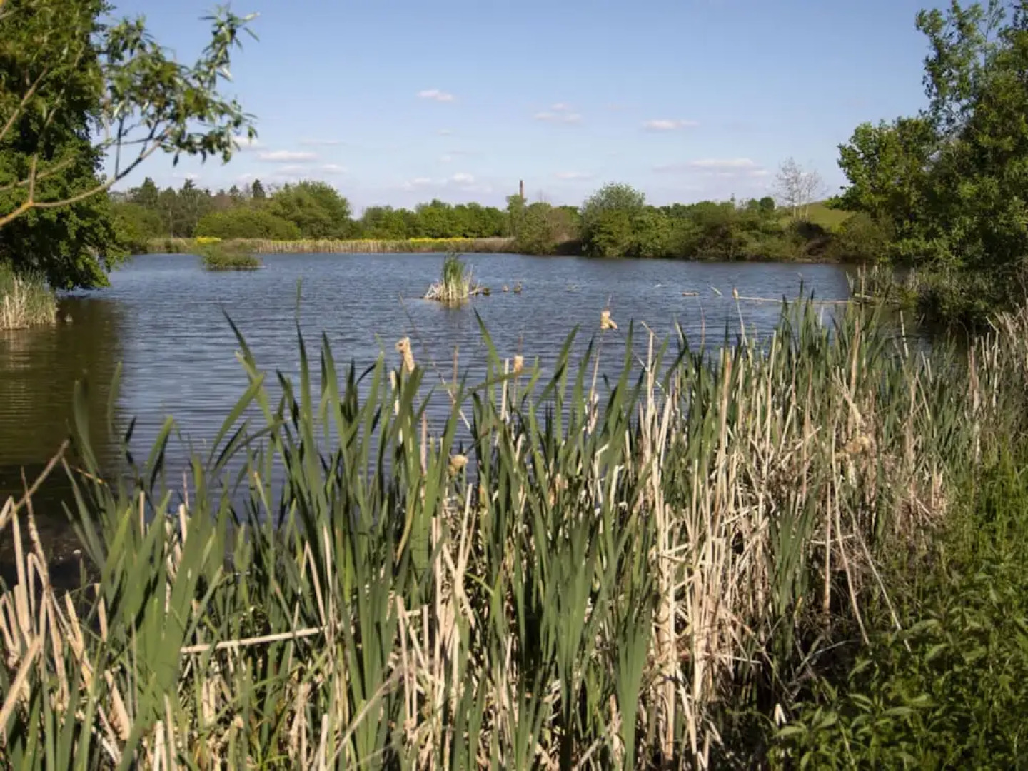 Elas Place Modern Retreat