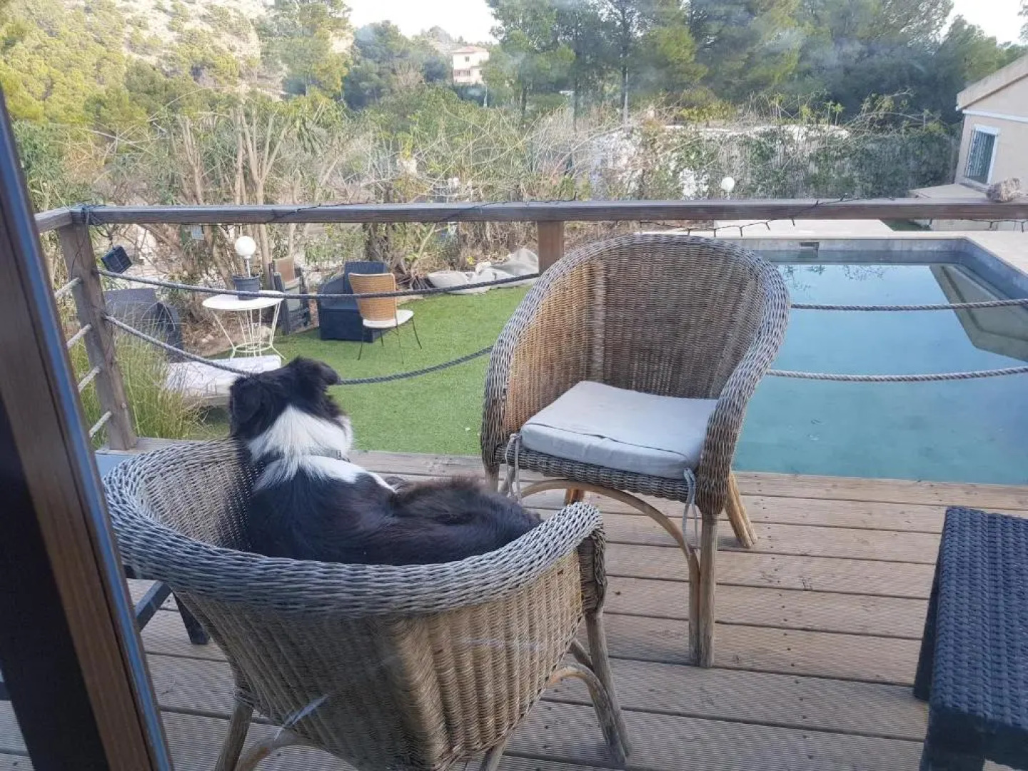 El Paraiso de los Perros