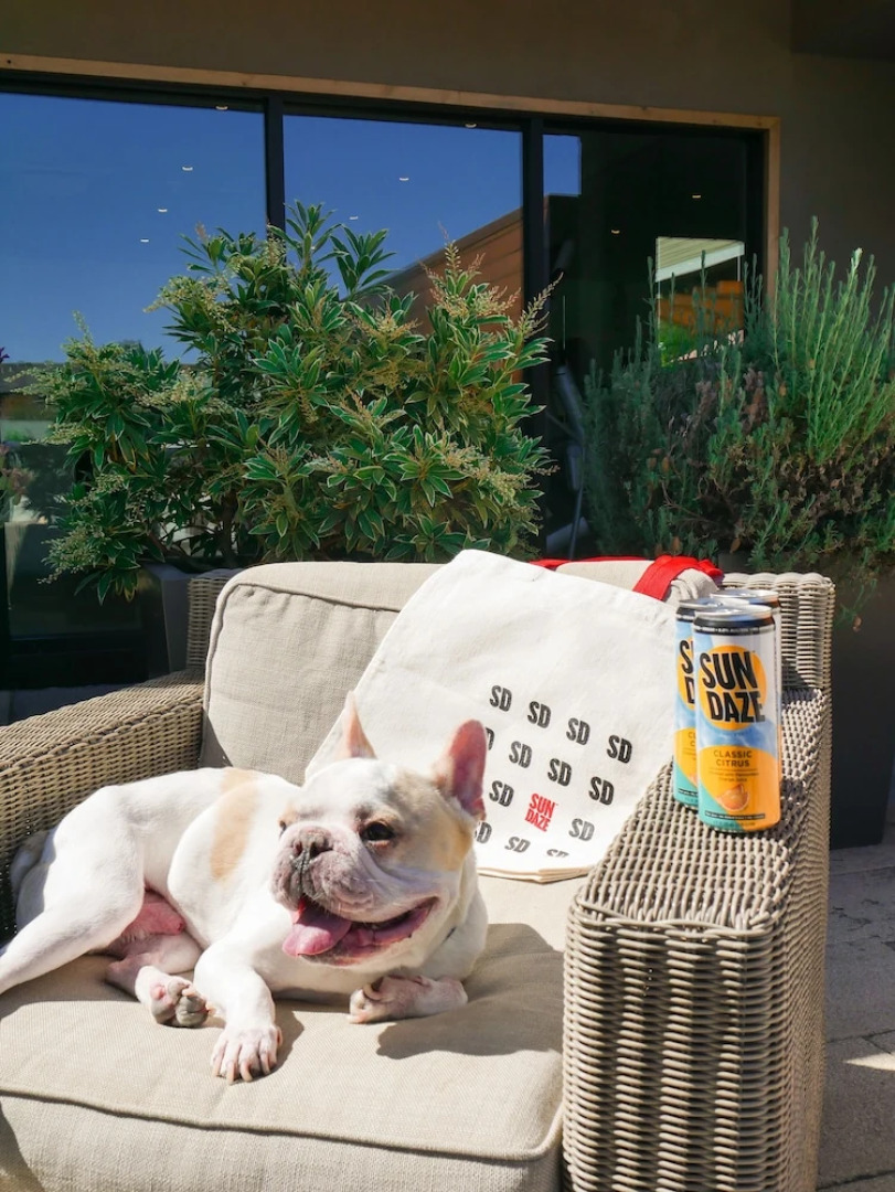 Quality Inn Stanford/silicon Valley