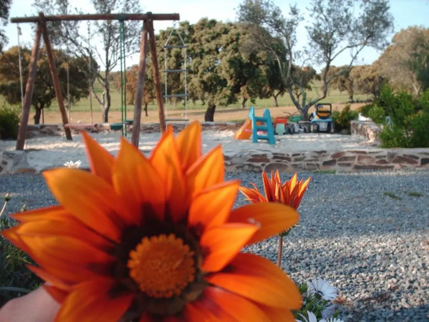 Agro-Turismo Monte da Galega