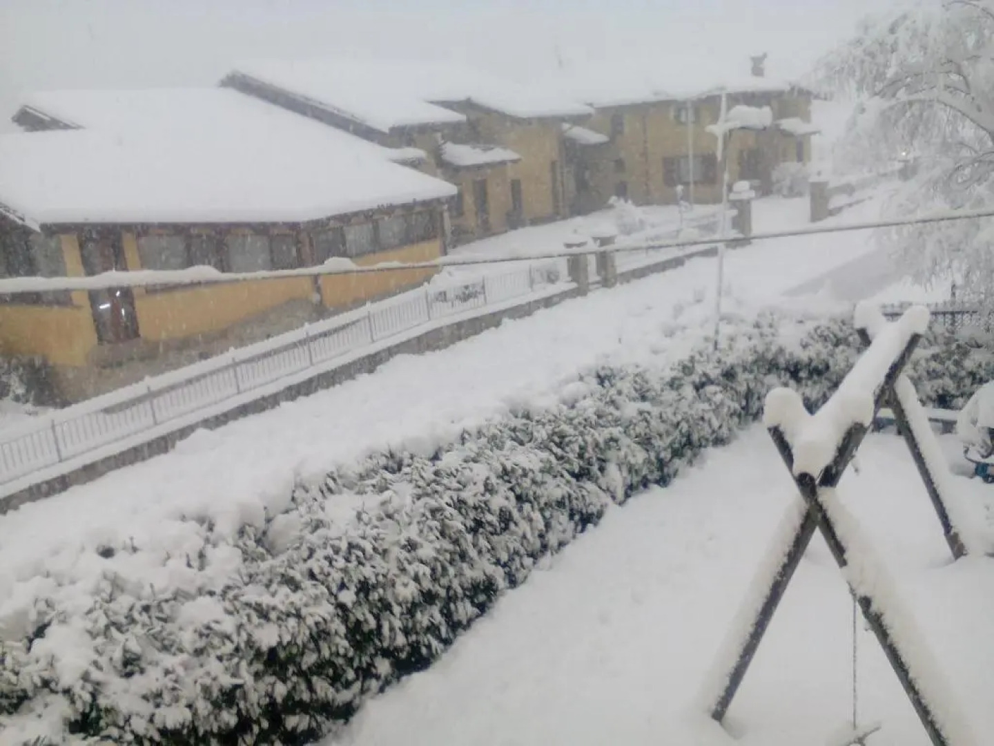 Vite Dipinte 1 Bilocale in Langa