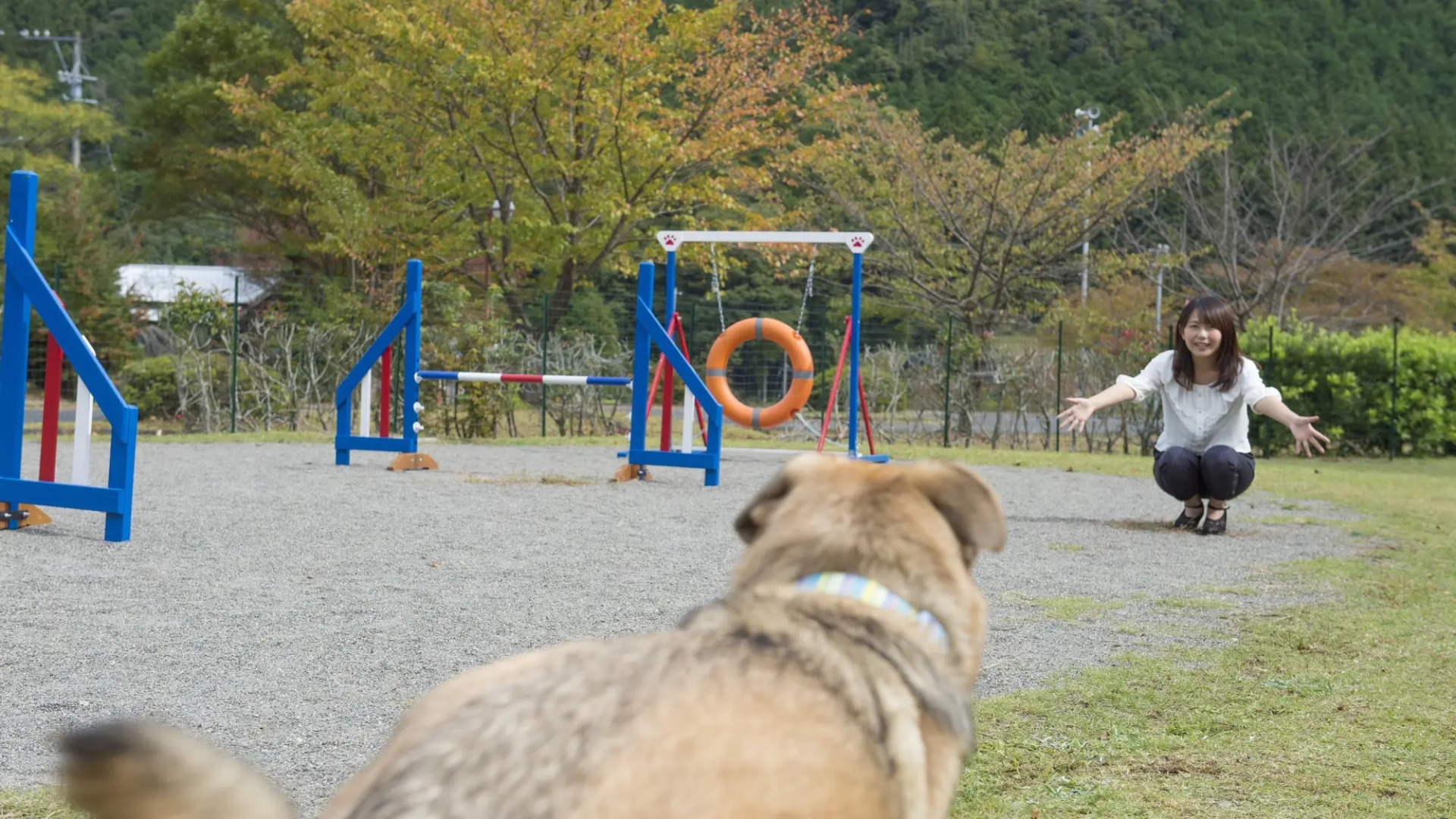 Matsusaka Wanwan Paradise Mori No Hotel