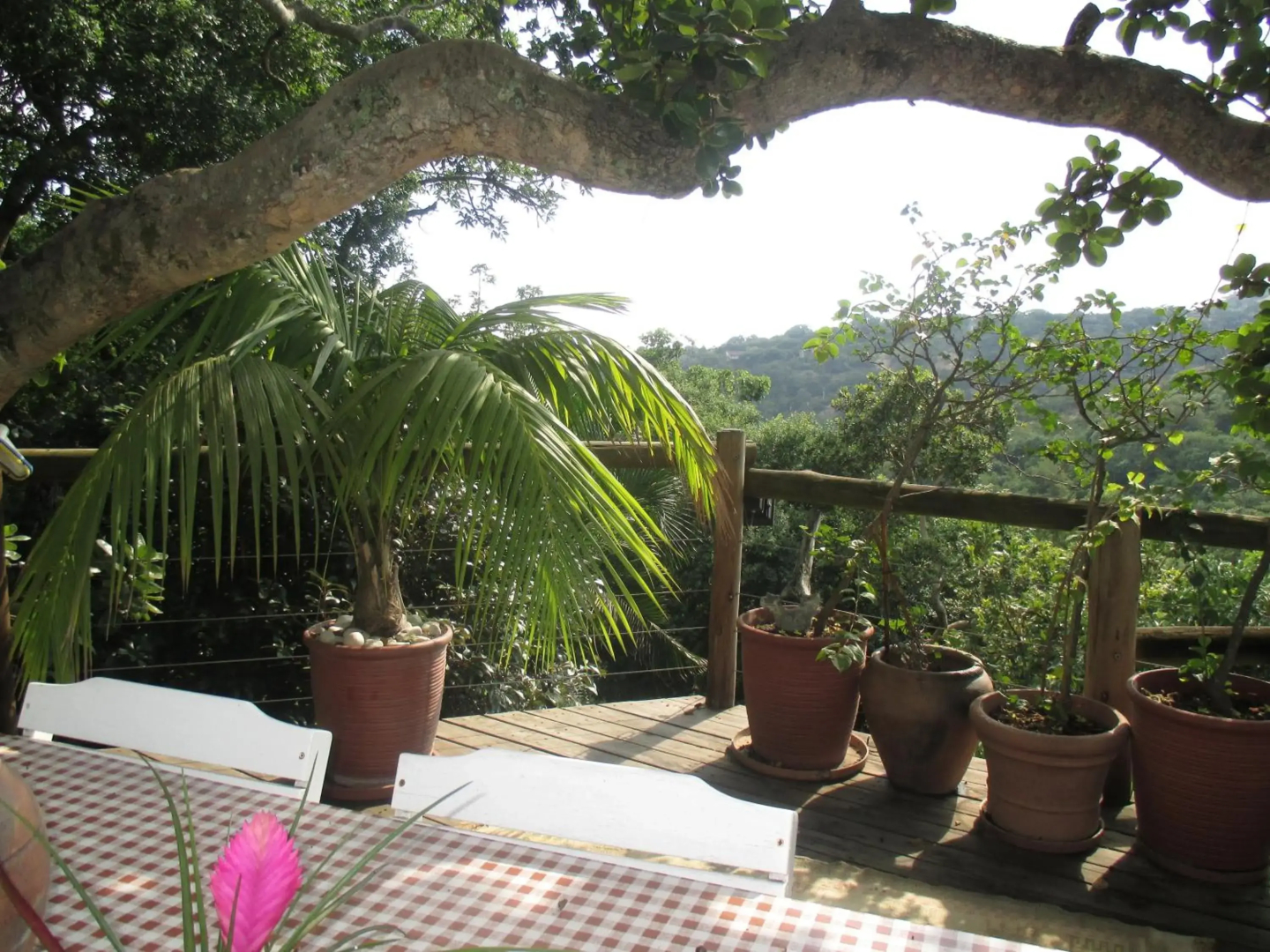 Utopia in Africa Guest Villa