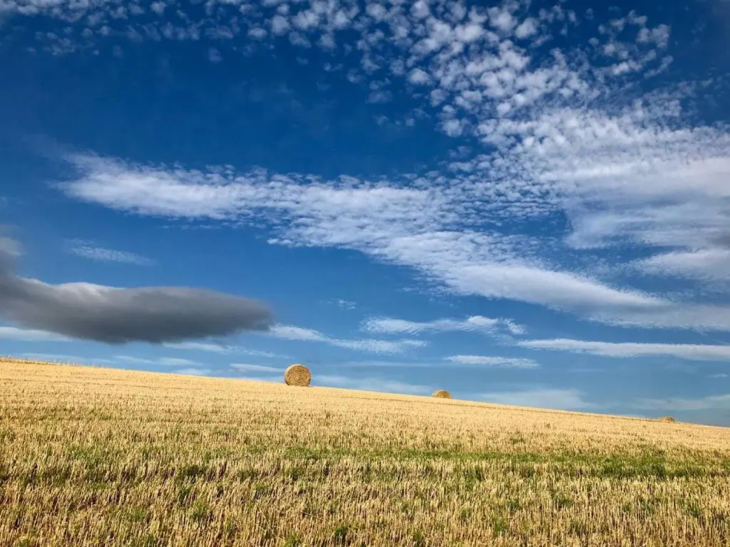 Riding Farm Cottages