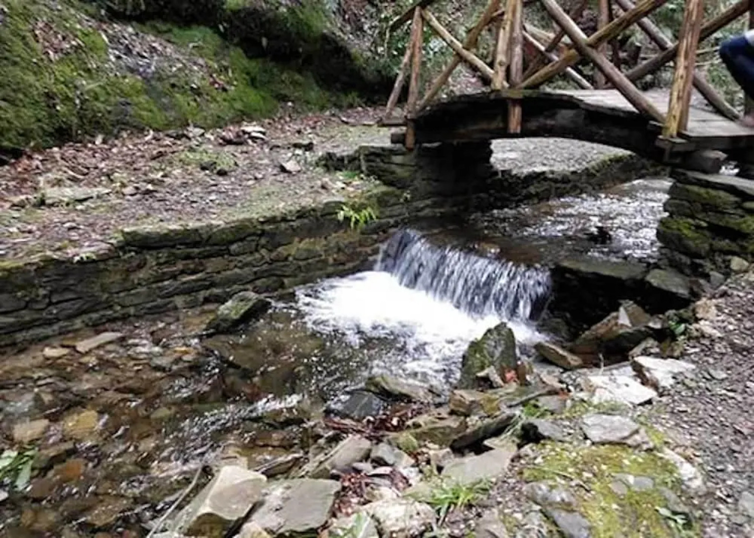 Majestic View Cottages