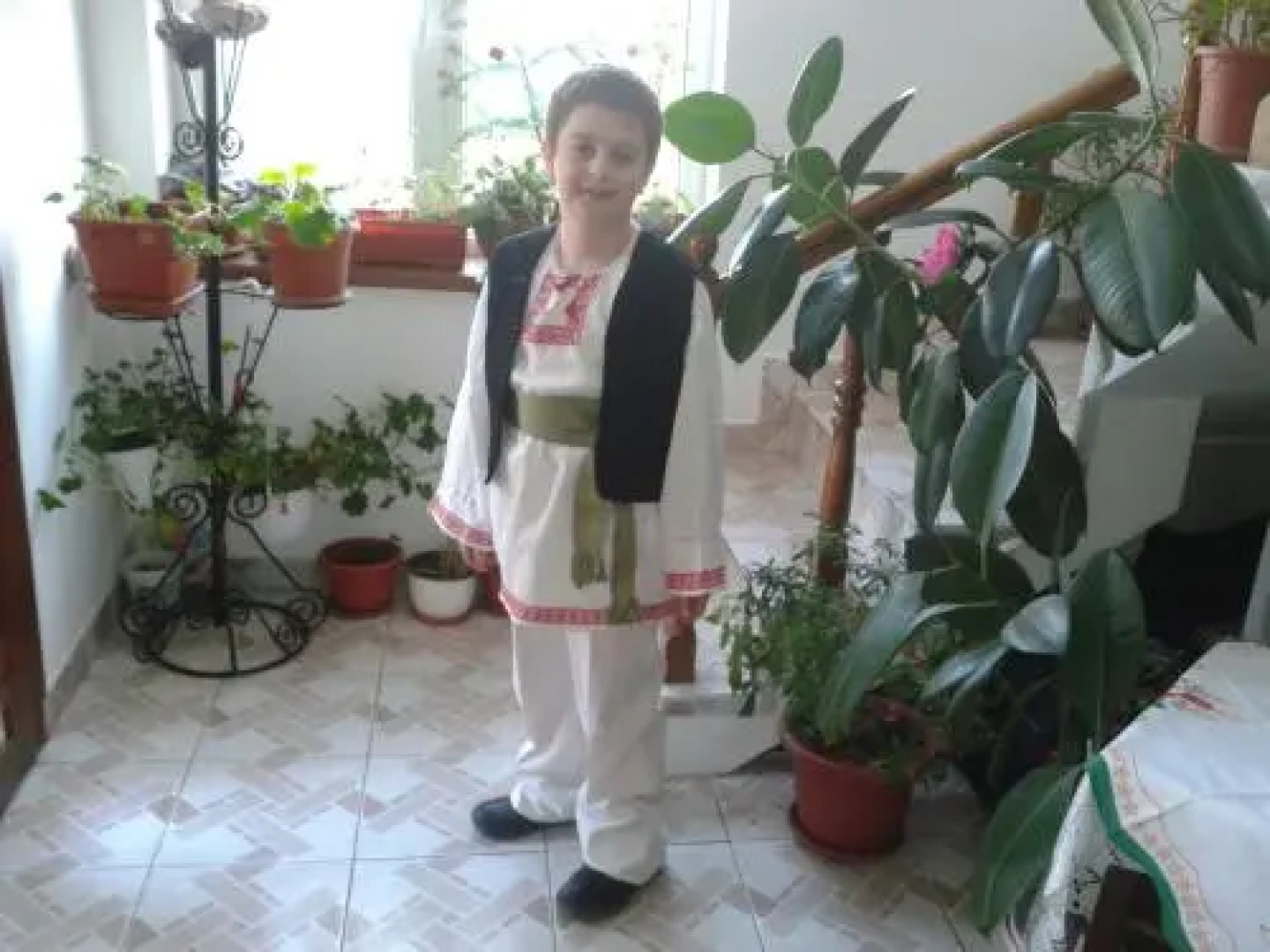 Pensiunea Nopti de Vara