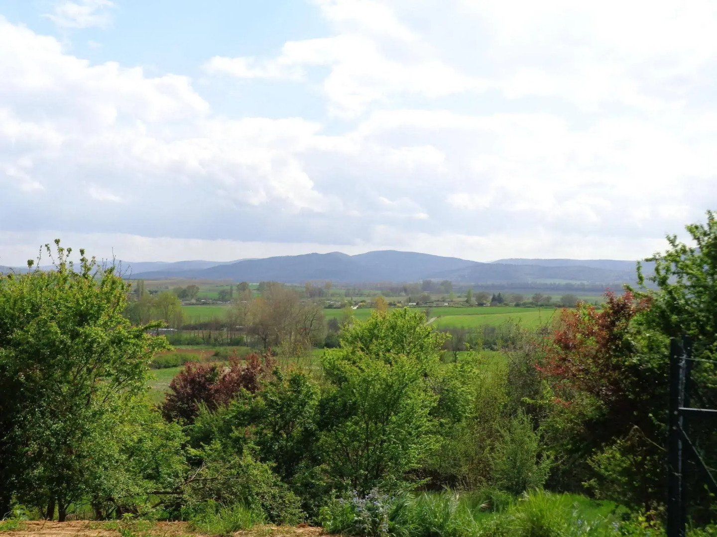 Borgo San Lorenzo a Linari