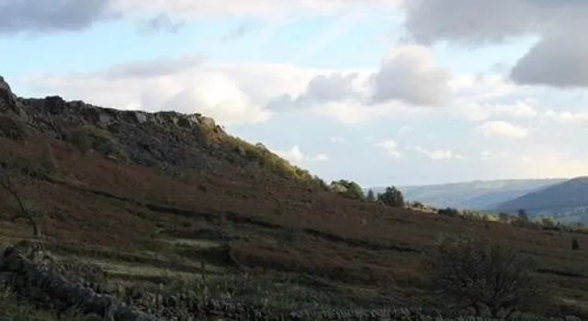 Terrafirma Guest House