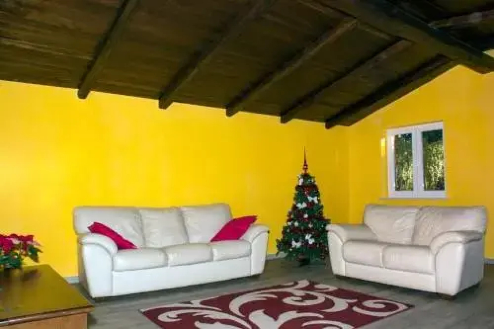 Il Ciclamino Roma Nord