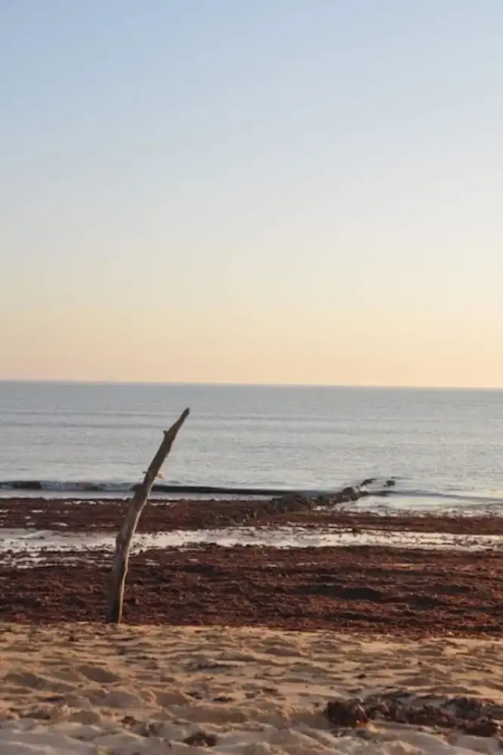 Villa With 4 Bedrooms in Dolus-d'oléron, With Private Pool, Enclosed Garden and Wifi - 2 km From the Beach