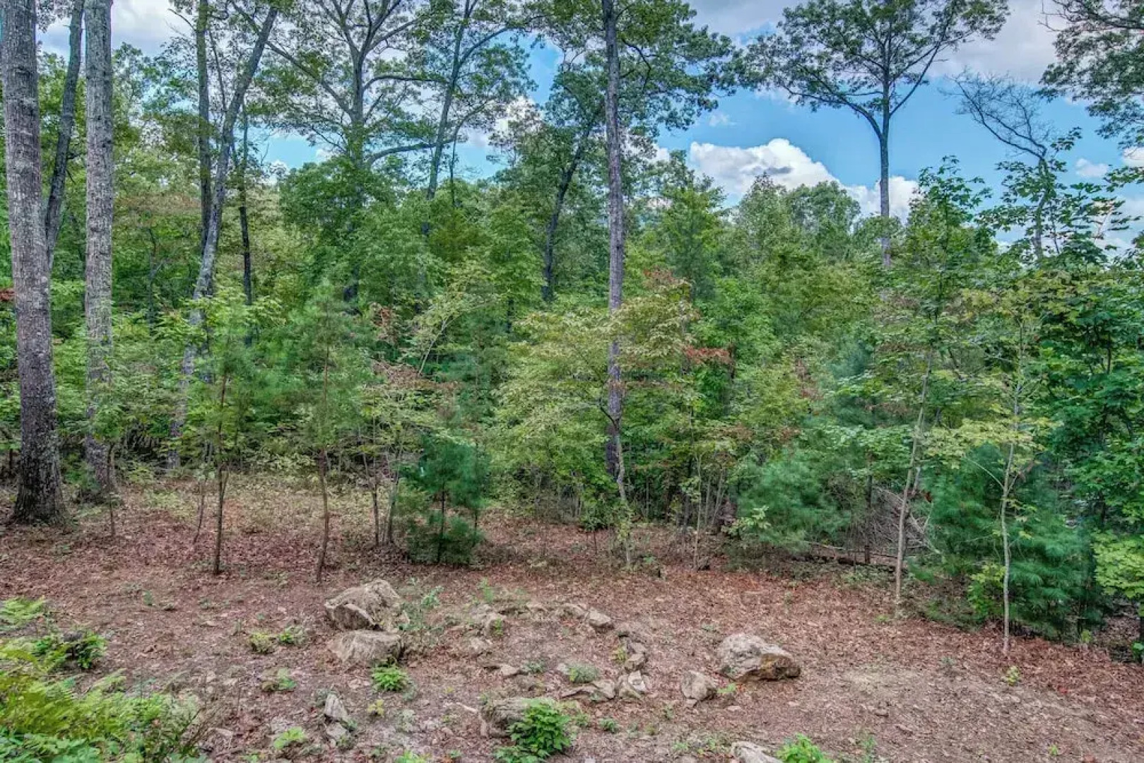 Gorgeous & Secluded 3 BDR Cabin in Mineral Bluff!