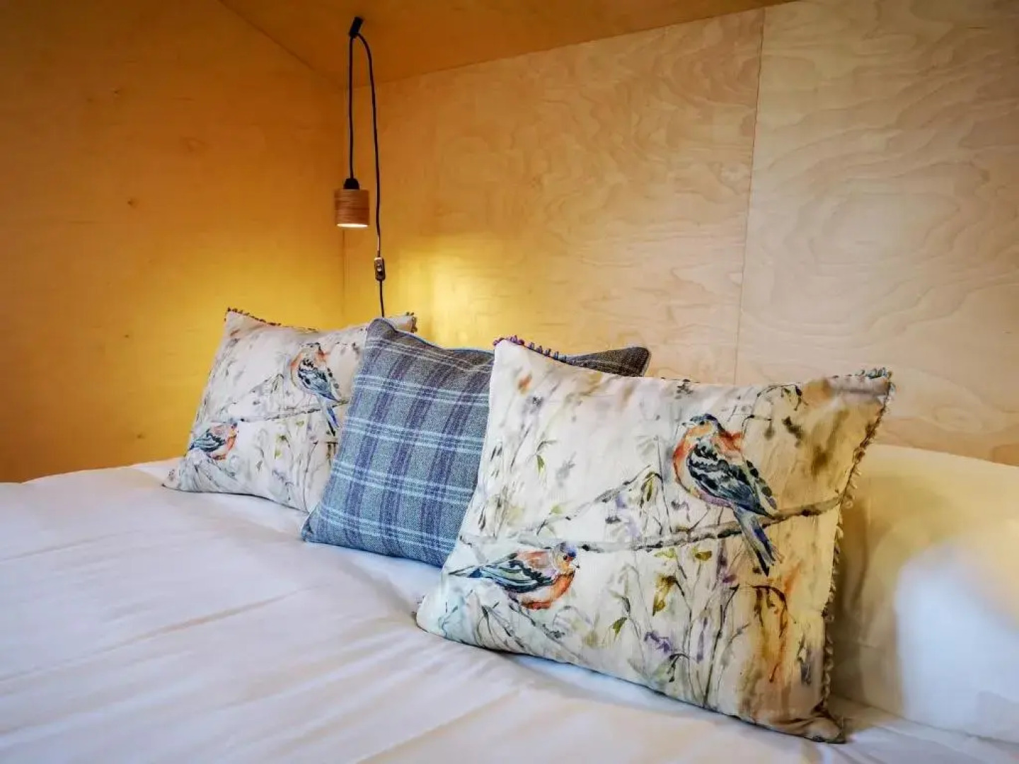 Solar da Castanha - Forest House