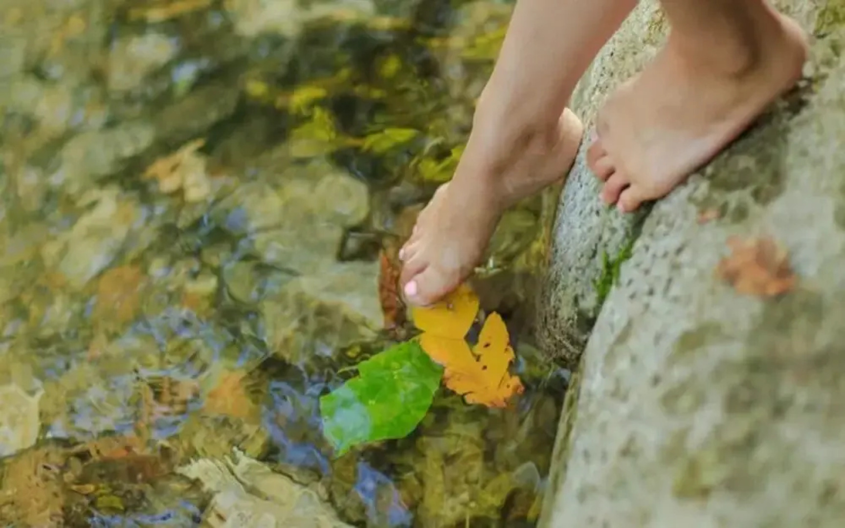 Yangpyeong 4hue House Pension