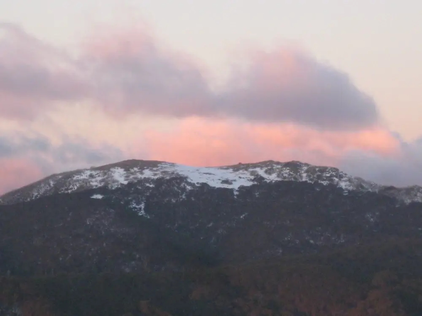 Ski Club of Victoria - Ivor Whittaker Lodge