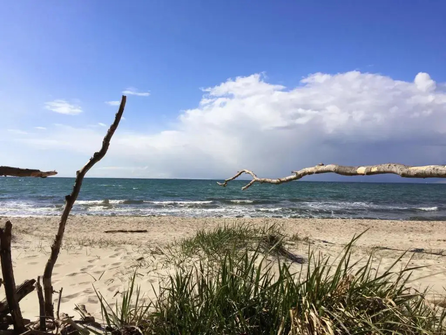 Haus Schumann - Ostsee - Halbinsel Darss